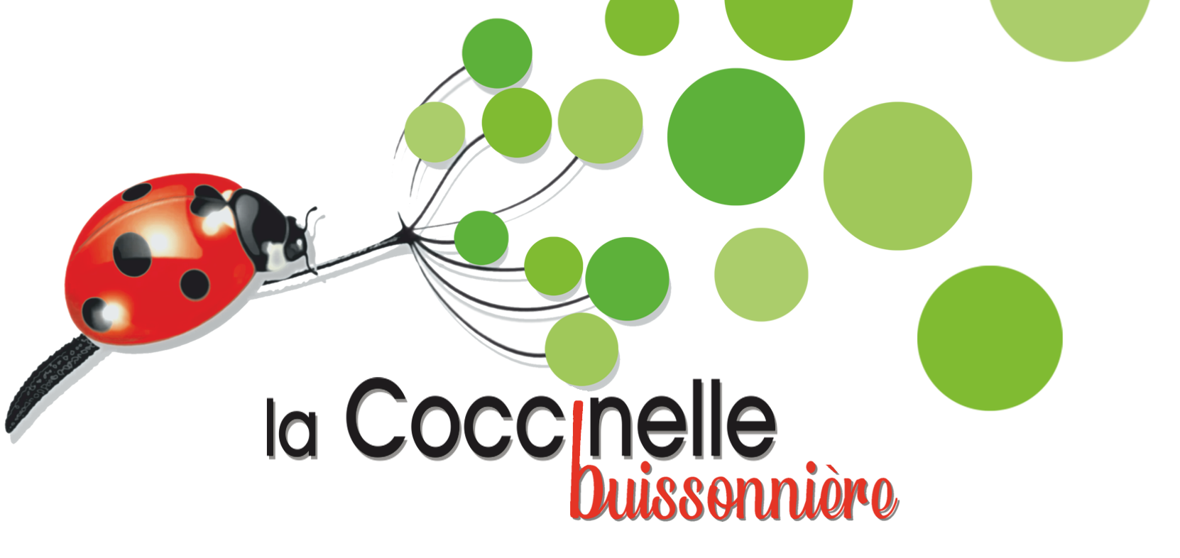 La coccinelle buissonnière